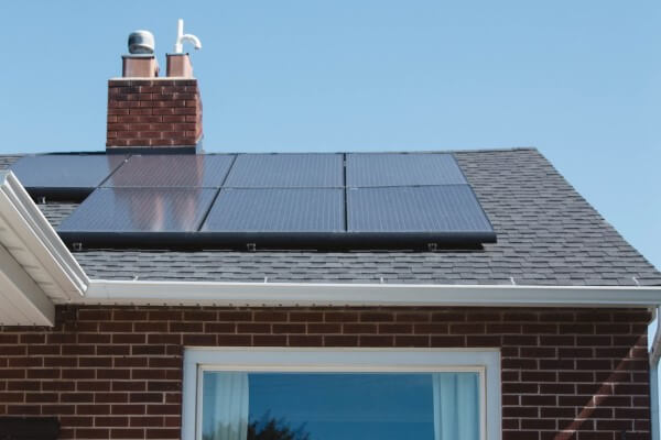 PEST CONTROL SANDY, Bedfordshire. Services: Solar Panel Bird Proofing. Defend Your Solar Panels Against Avian Interference with Local Pest Control Ltd's Specialized Bird Proofing Services in Sandy